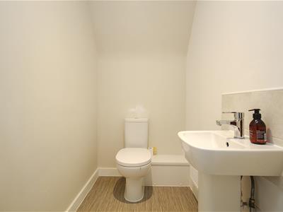 Picture 23